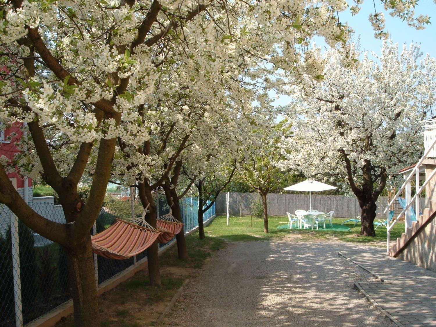 Apartman Heviz Holiday Exteriör bild