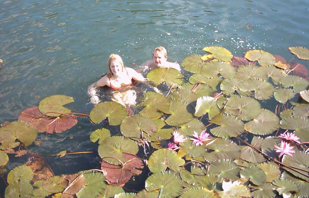 Apartman Heviz Holiday Exteriör bild